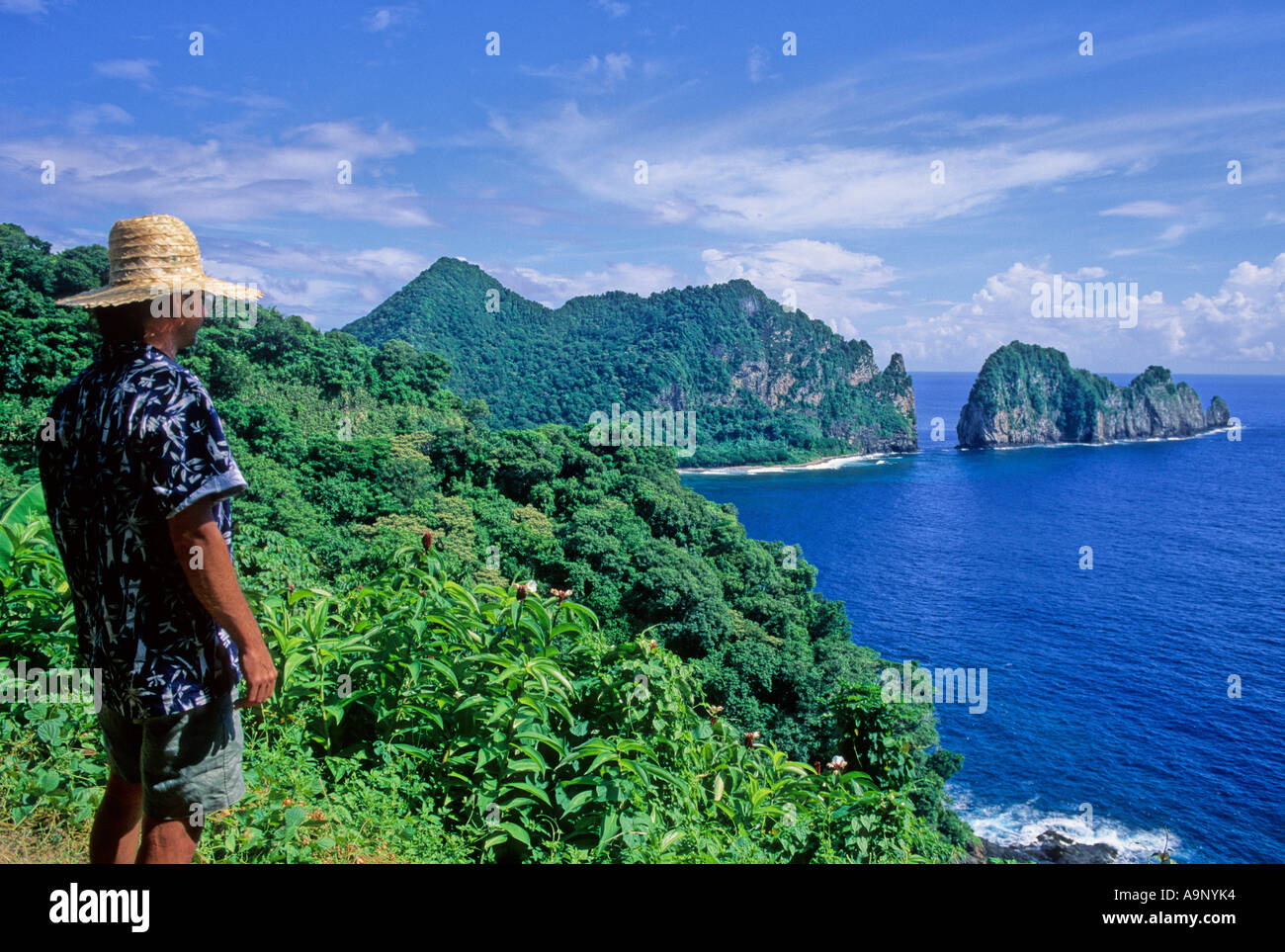 Tourist looks at Cockscomb offshore rock formations, part of the National Park of American Samoa Stock Photo