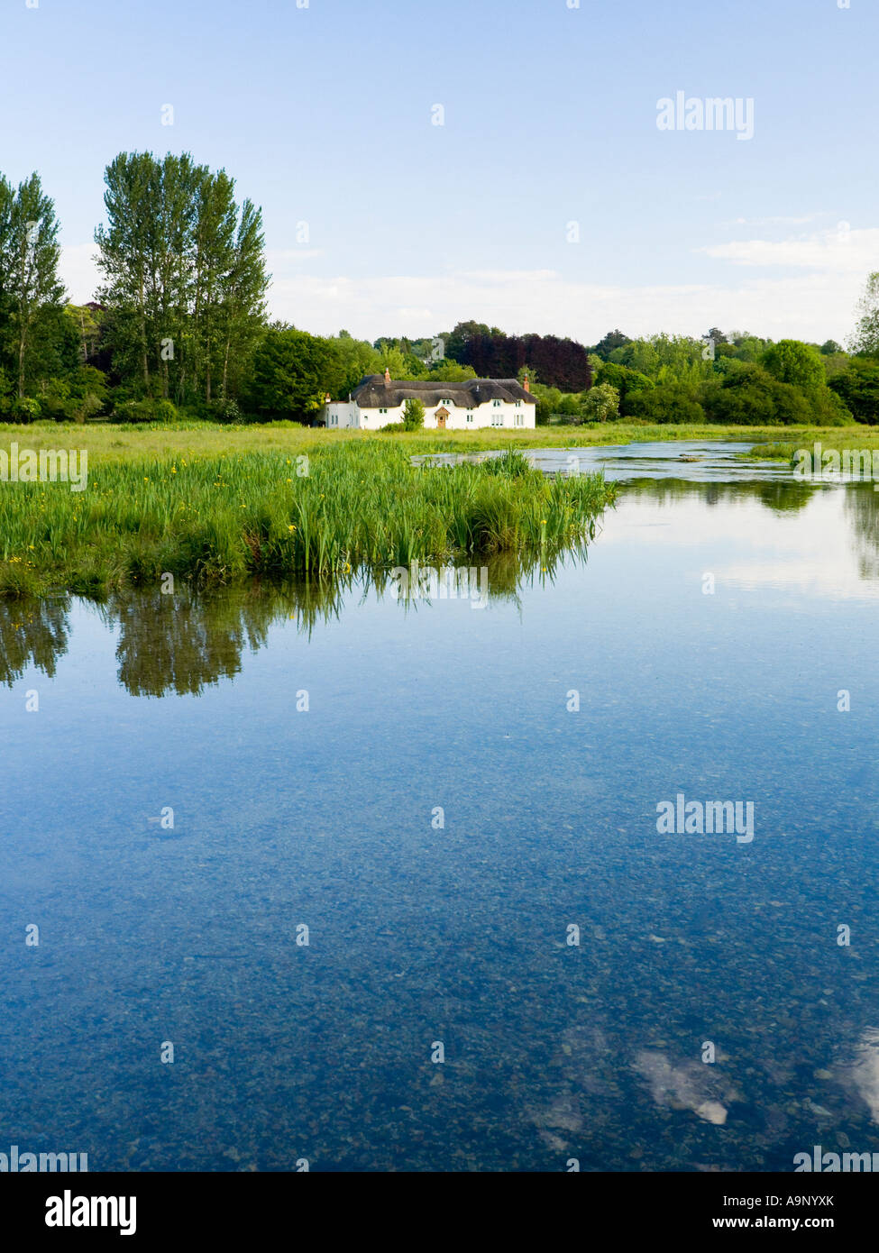 Pretty Cottage on Chilbolton Cow Common SSSI by the river Test