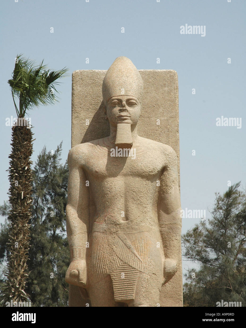 Statue of Ramesses II at Memphis, Egypt Stock Photo Alamy