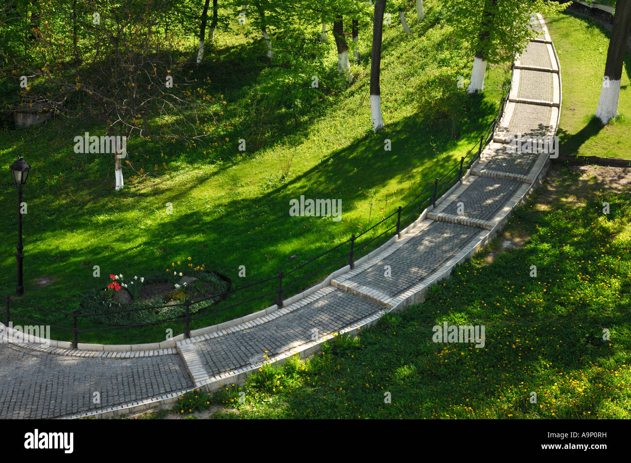 Green grass in the park hi-res stock photography and images - Alamy