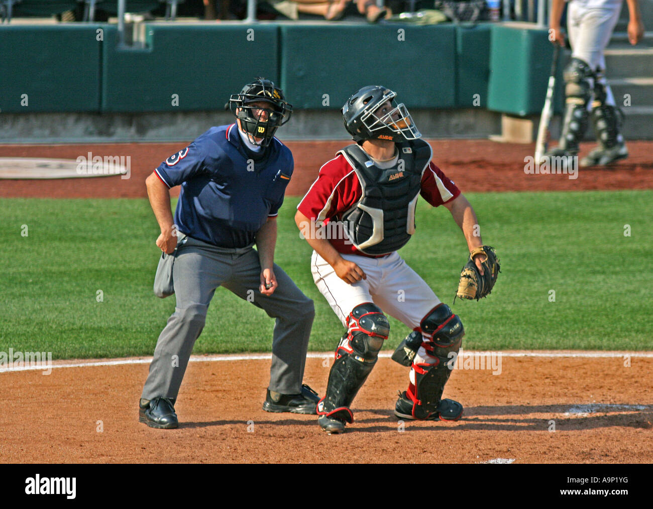 Baseball umpire and catcher hires stock photography and images Alamy