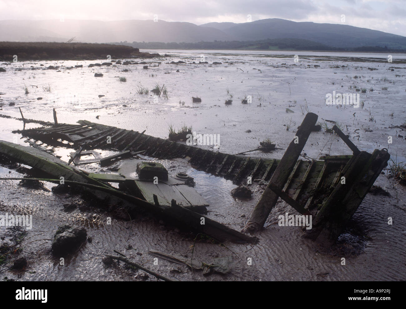 Remains of Wooden Boat Dyfi Estuary Stock Photo - Alamy