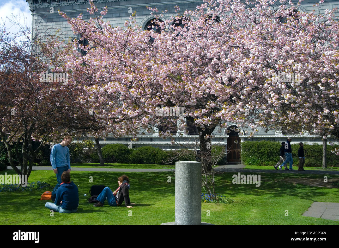 Irish classical architecture grass hi-res stock photography and images ...