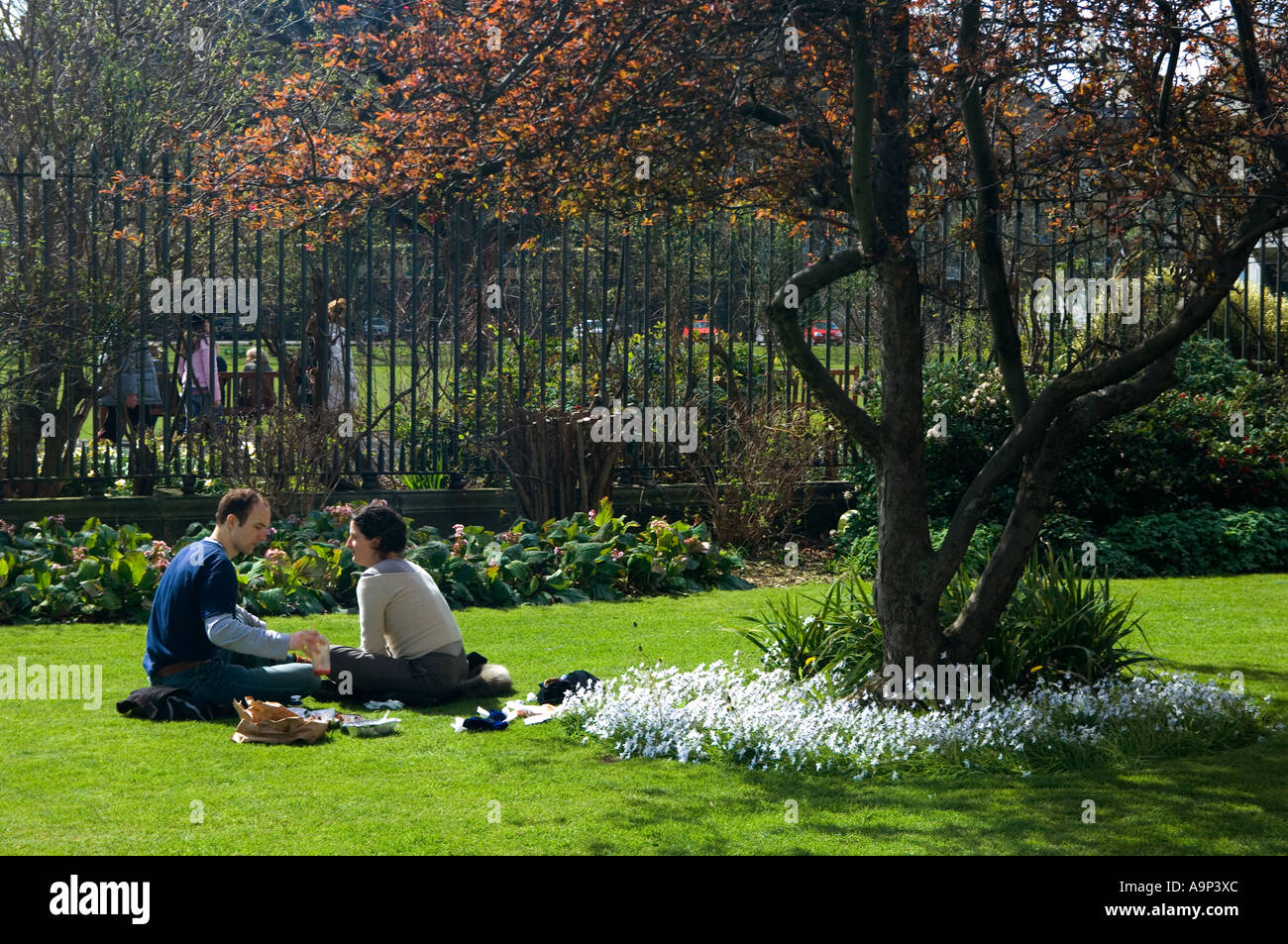 Irish classical architecture grass hi-res stock photography and images ...