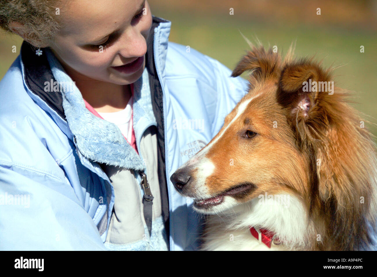 Portrait of girl and her dog Stock Photo