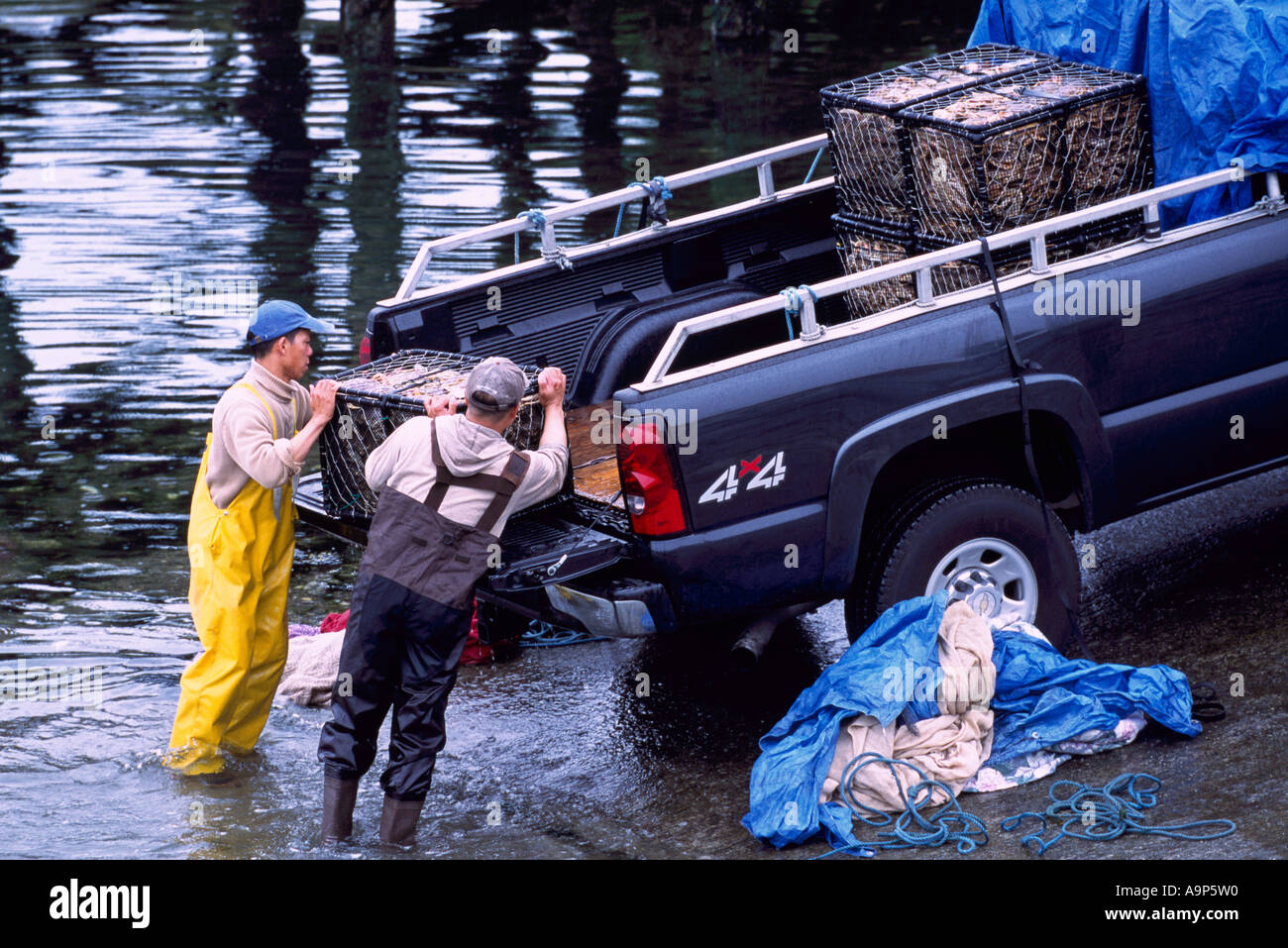Tofino, BC, Vancouver Island, British Columbia, Canada Commercial