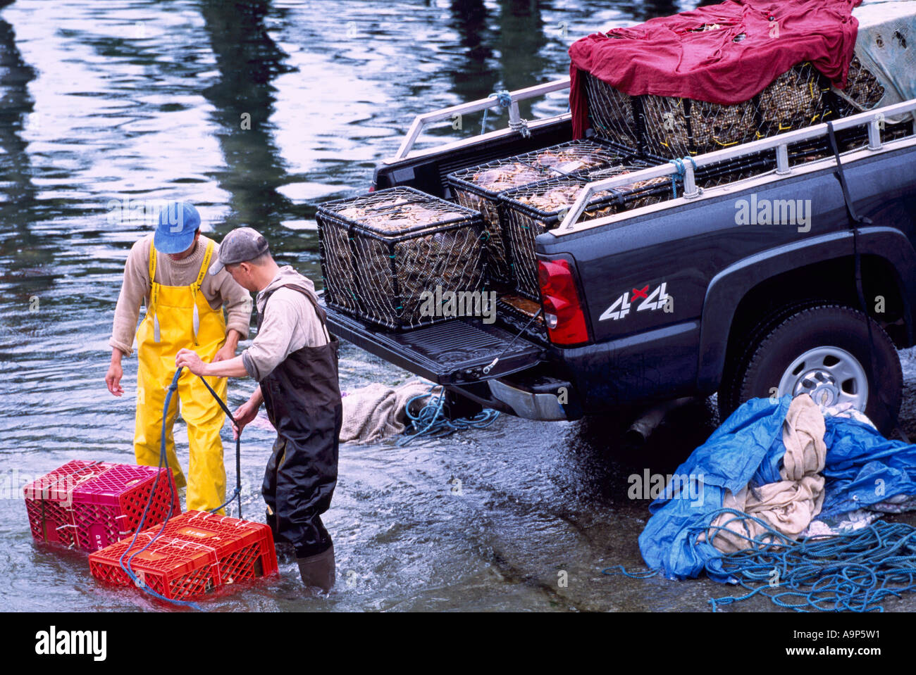 Tofino, BC, Vancouver Island, British Columbia, Canada Commercial