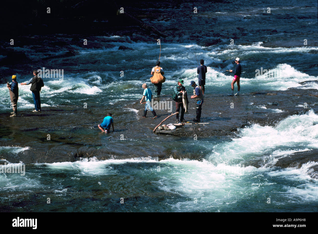 Stamp falls, Port Alberni. The end show the salmon on the salmon cam!