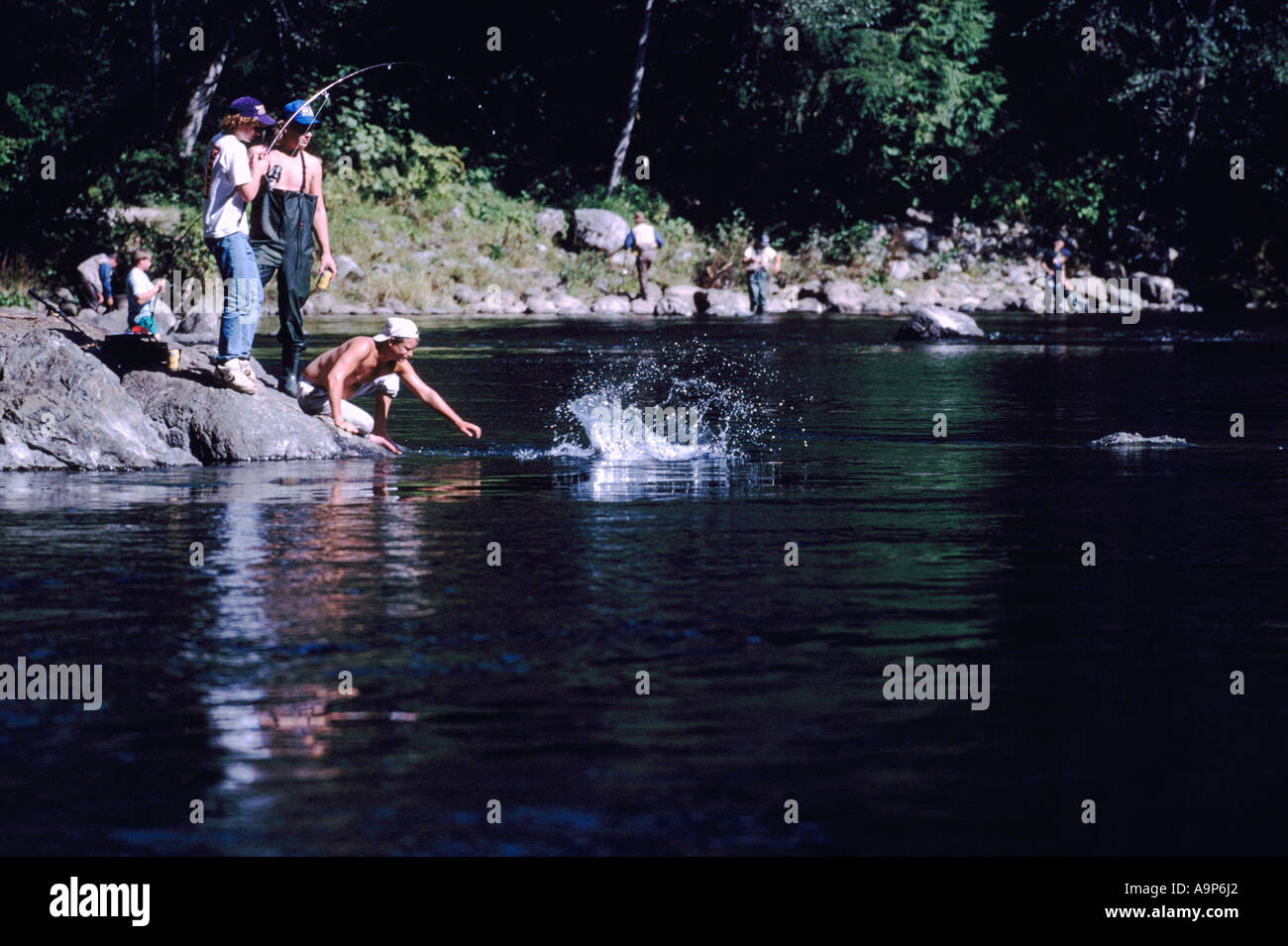 Stamp falls, Port Alberni. The end show the salmon on the salmon cam!