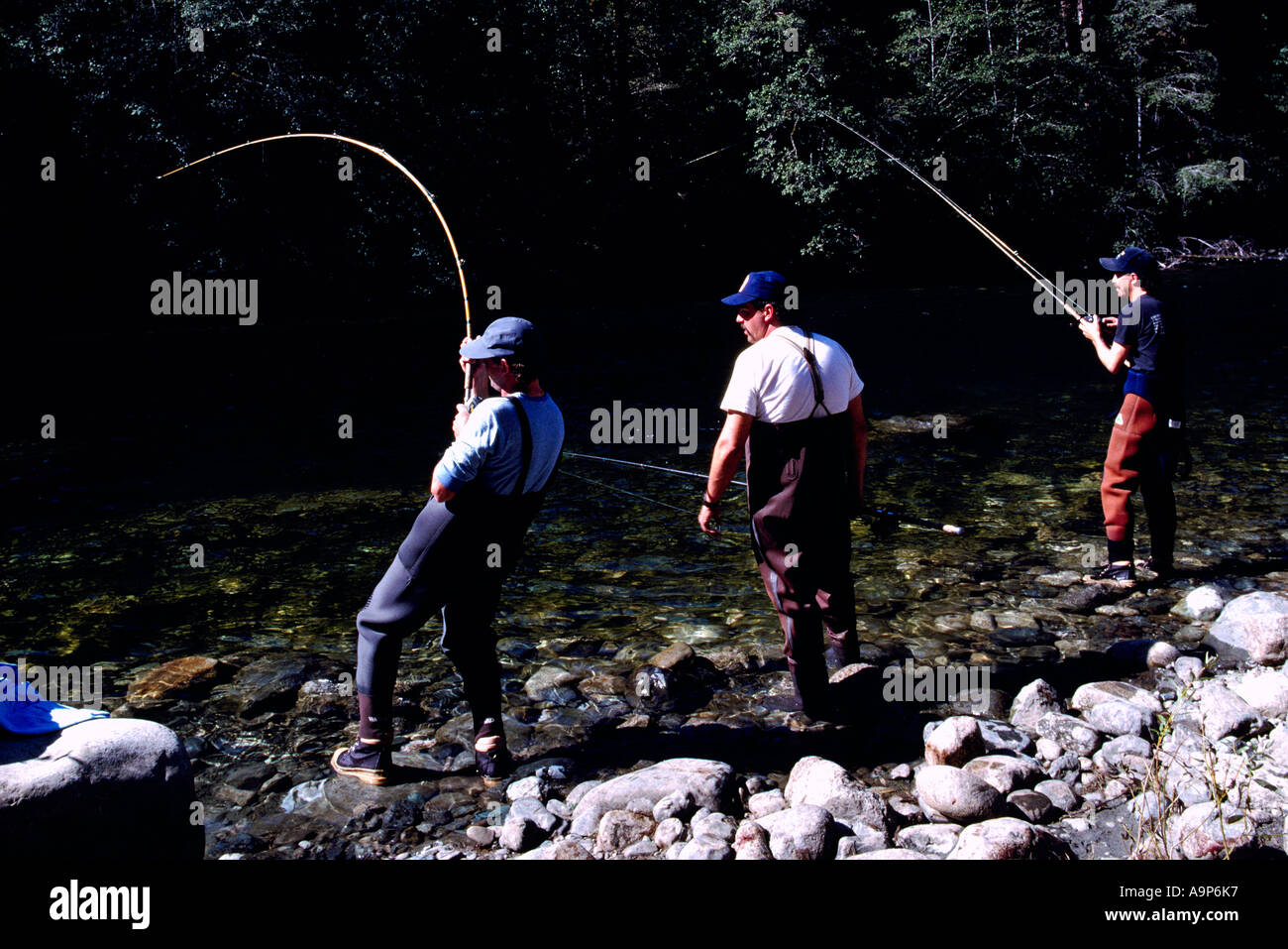 Stamp falls, Port Alberni. The end show the salmon on the salmon cam!