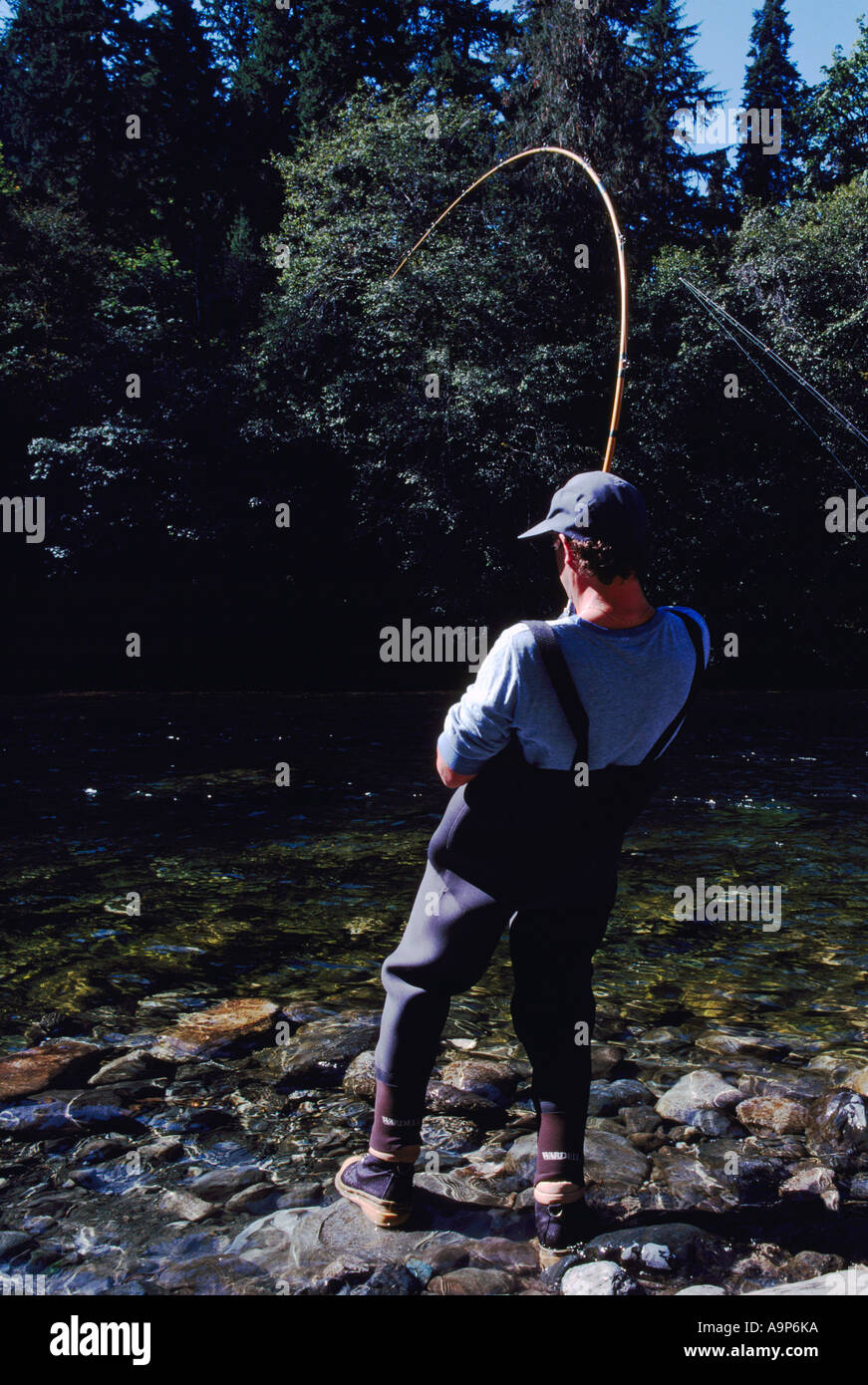 Stamp falls, Port Alberni. The end show the salmon on the salmon cam!