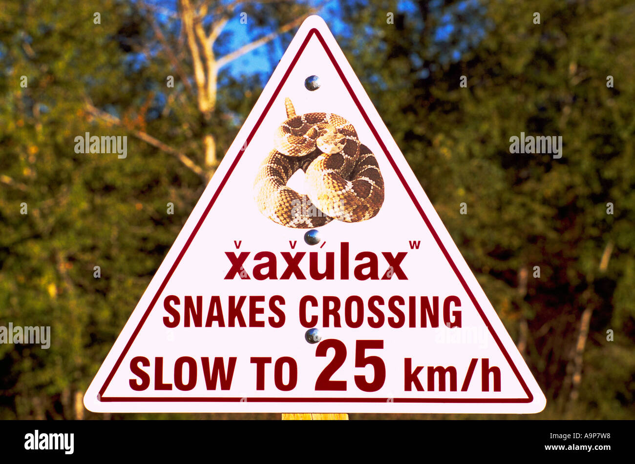 Bilingual Snakes Crossing Road Sign in Okanagan Indian and English Languages, Osoyoos, South Okanagan, British Columbia, Canada Stock Photo