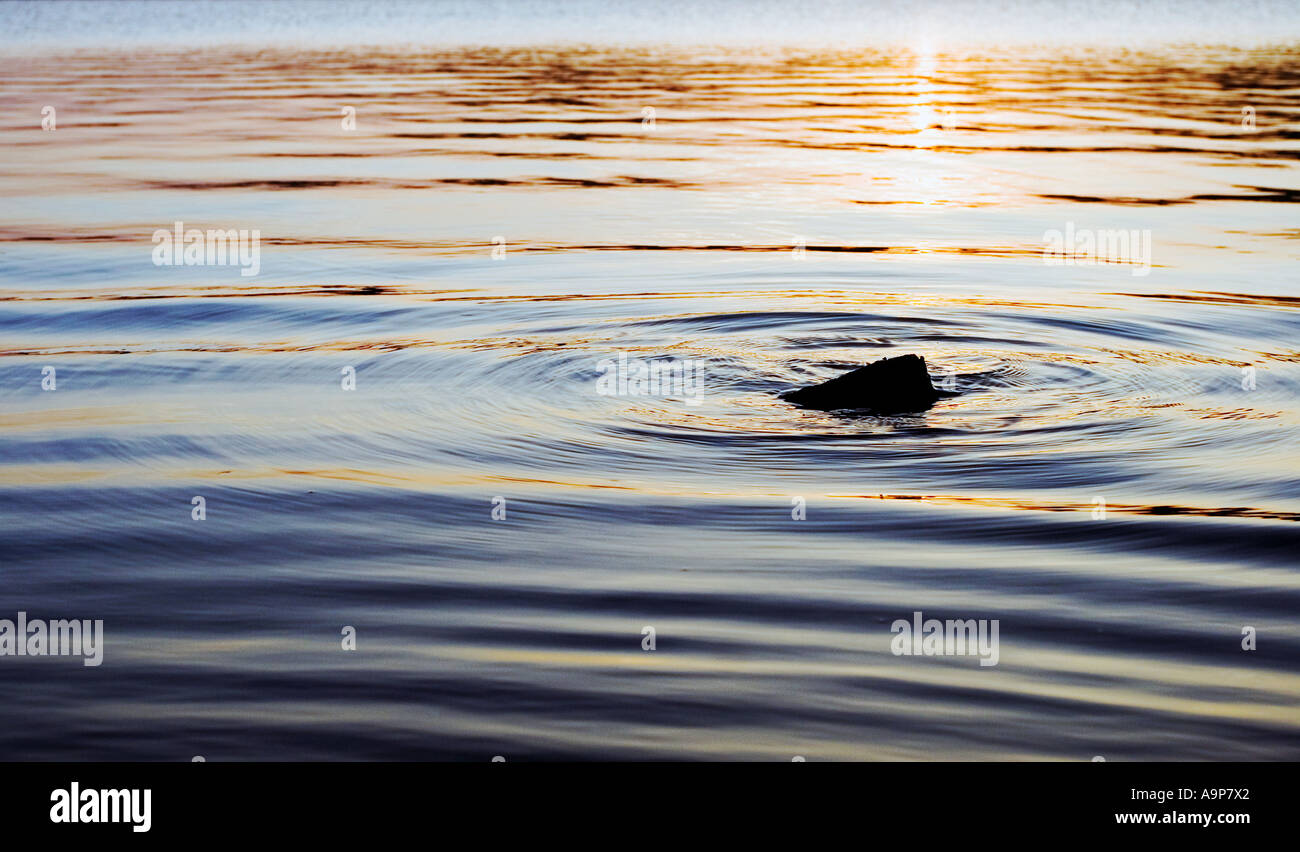 Ripples on a lake in Southern India Stock Photo