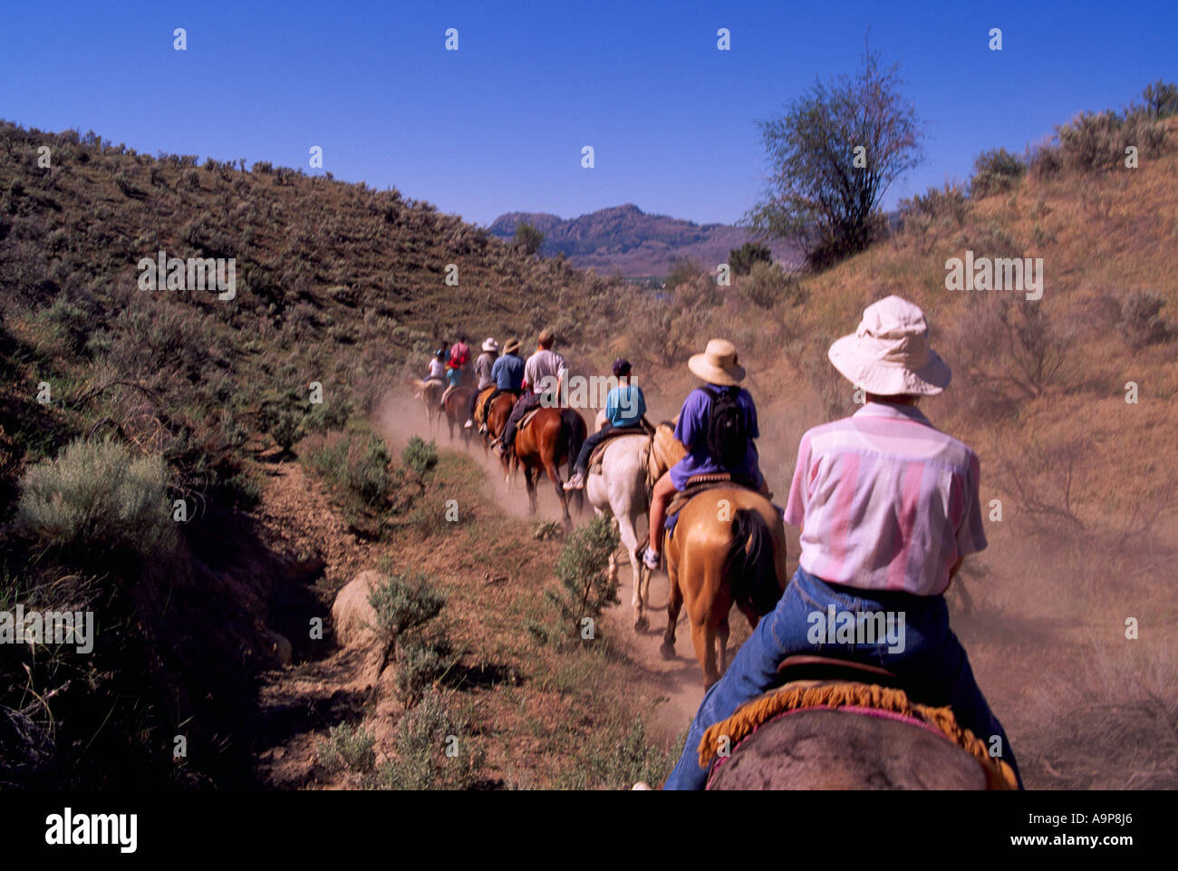 Guided Horseback Tour in the 'Pocket Desert' near Osoyoos British Columbia Canada Stock Photo