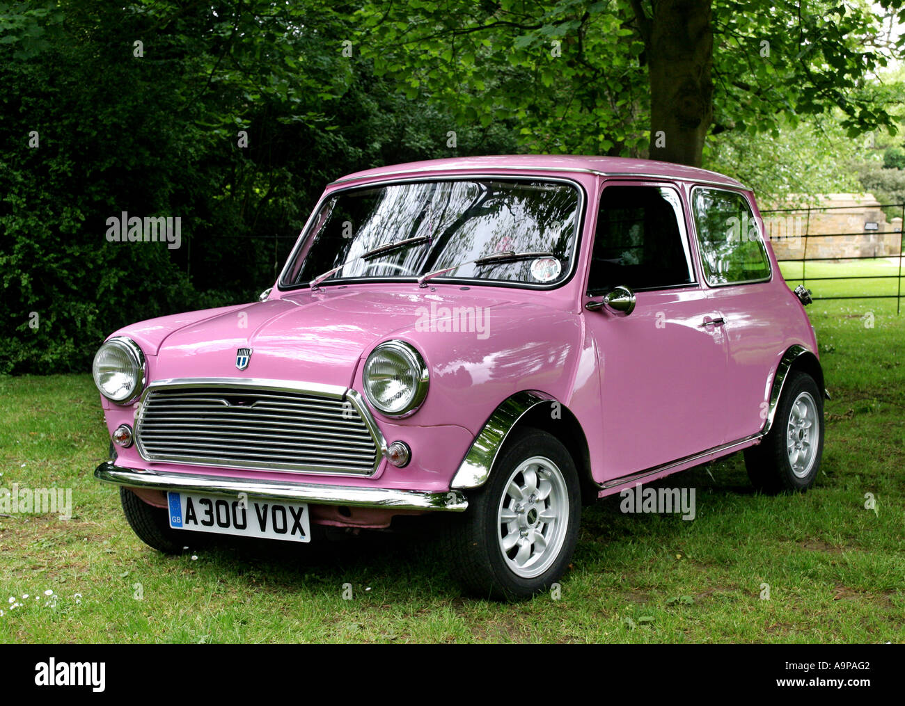 1983 Pink Austin Mini Mayfair car in the English countryside Stock Photo