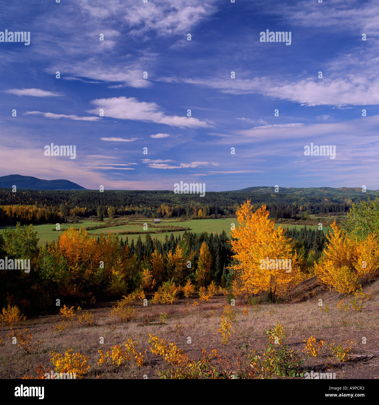 Scenic Farmland Landscape near Smithers, BC, Northern British Columbia