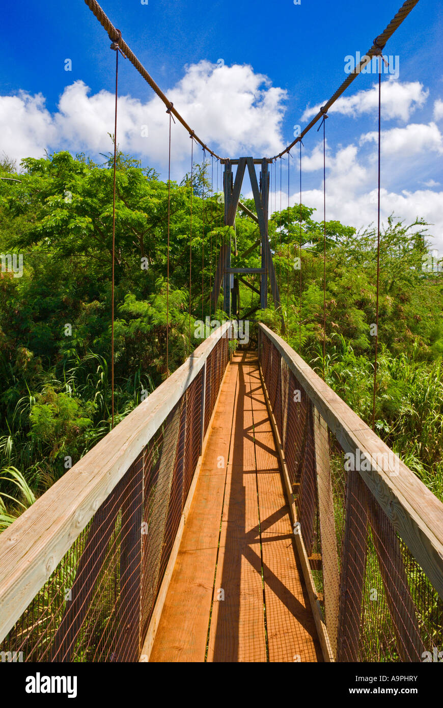 The Hanapepe Swinging Bridge Hanapepe Island Of Kauai Hawaii