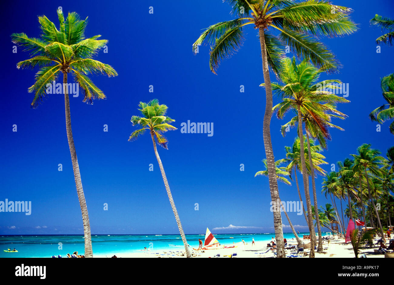 Sandy beach palm trees sea hi-res stock photography and images - Alamy