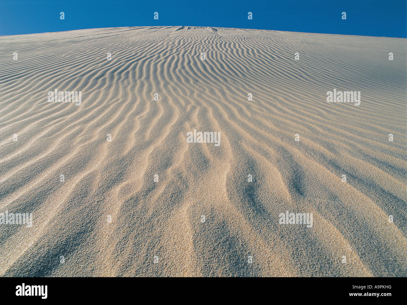 Ripples and wind patterns of sand dune De Hoop Nature Reserve Western Cape South Africa Stock Photo