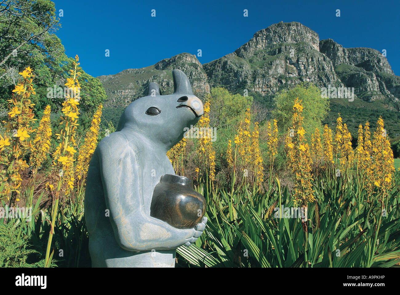 Kirstenbosch botanical garden sculpture hires stock photography and