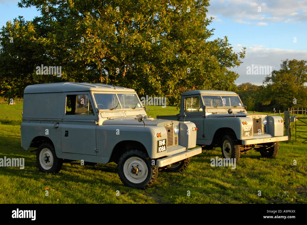 A couple of two grey 1960 s Landrover Series 2a short wheel base vehicles in very original condition on a farm in Dunsfold. Stock Photo