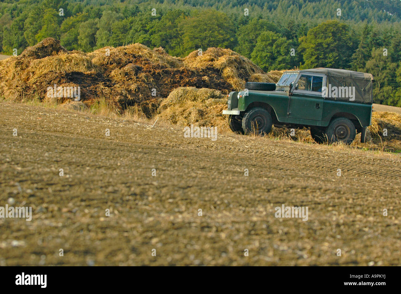 Very original 1962 Land Rover 88 Series 2a SWB 4cyl petrol in faded dark bronze green paint on a field in southern England. Stock Photo
