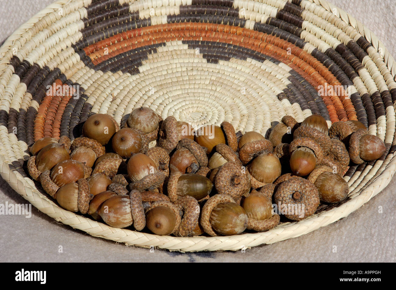 Acorns in a Native American basket. Digital photograph Stock Photo