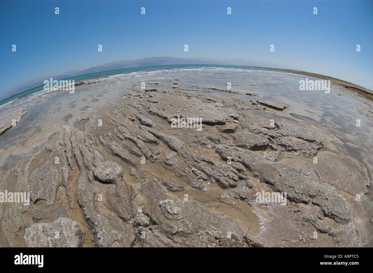 Israel Dead sea Ein Gedi spa receding sea close up of empty soil ...