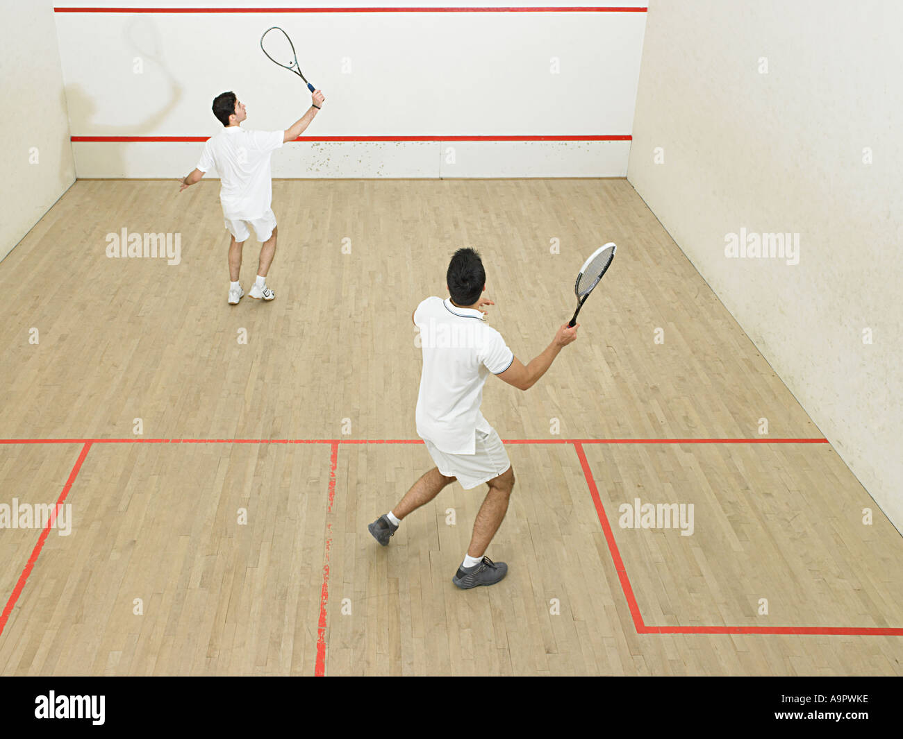 Men playing squash Stock Photo Alamy