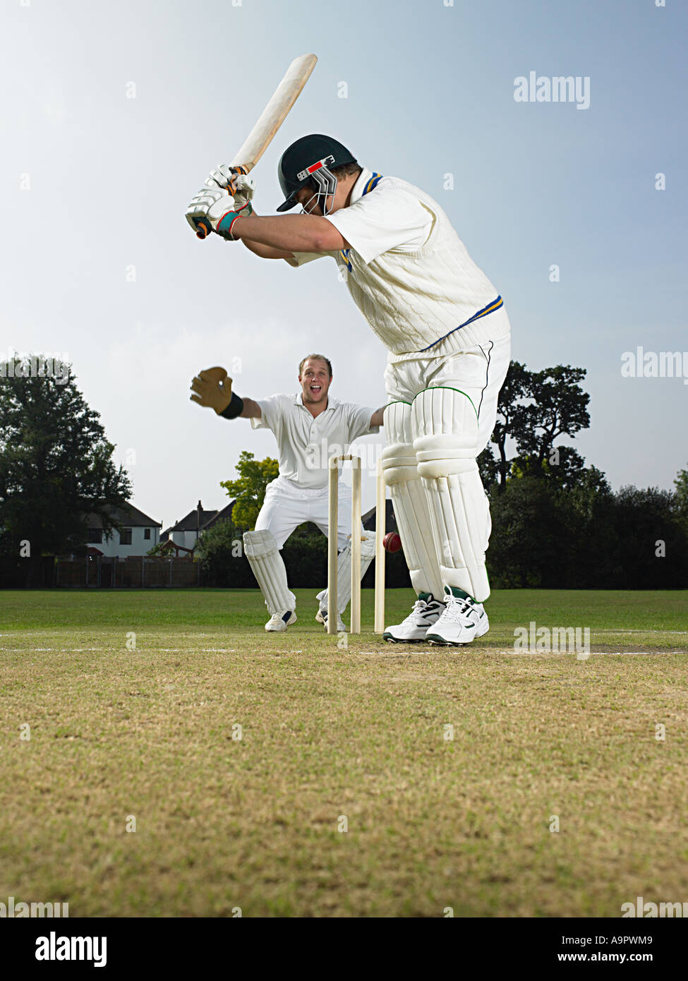 Cricketers Stock Photo