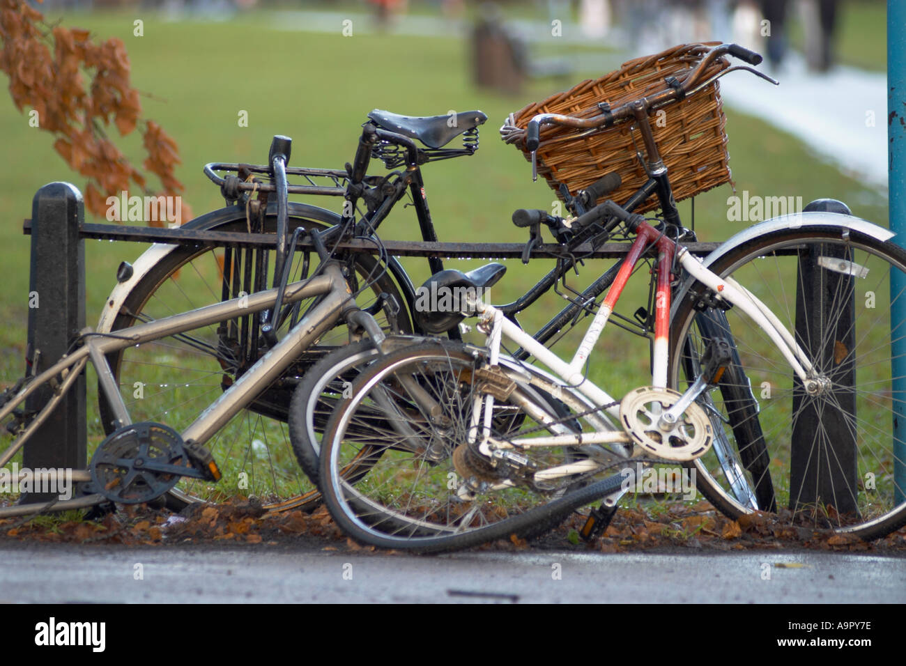 bicycle scrap yard near me