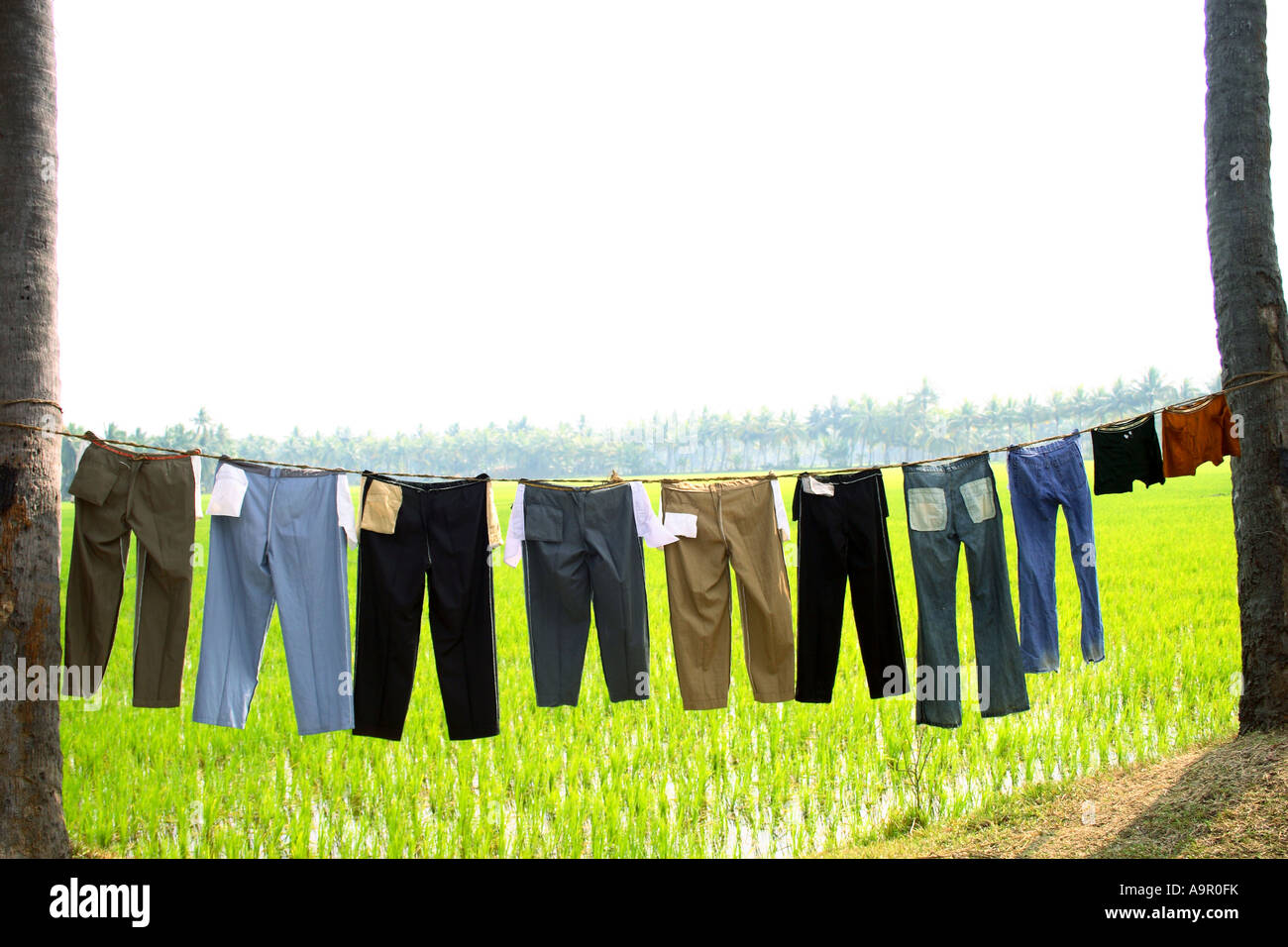 Pants hanging on a clothesline Stock Photo Alamy
