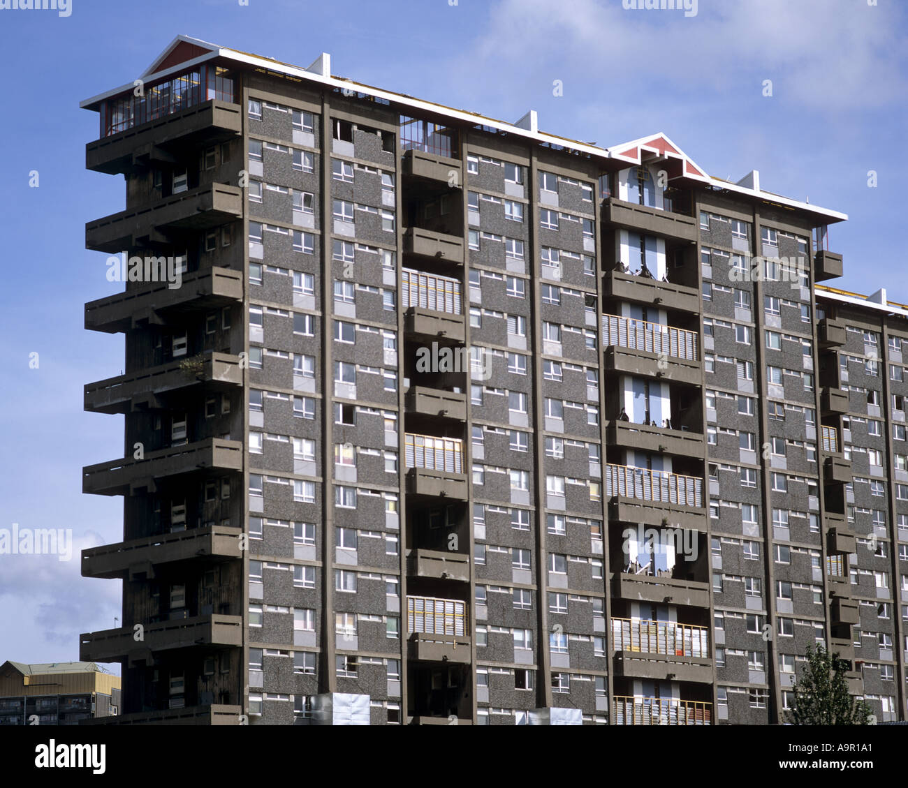 Derelict High Rise Flats Gorbals Glasgow Scotland Stock Photo 2306464 Alamy