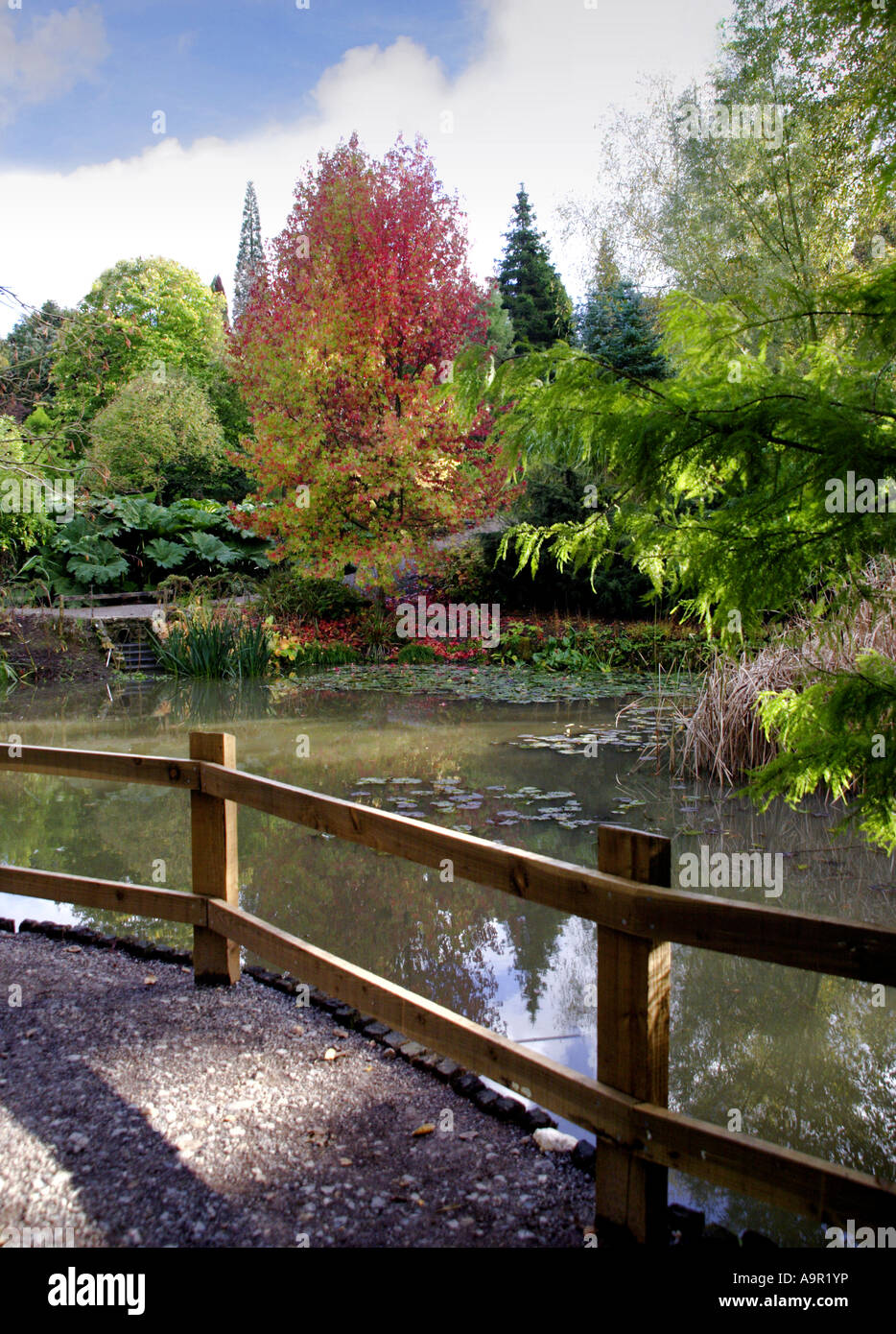 Sir Harold Hillier Gardens, Ampfield, Hampshire, England Stock Photo