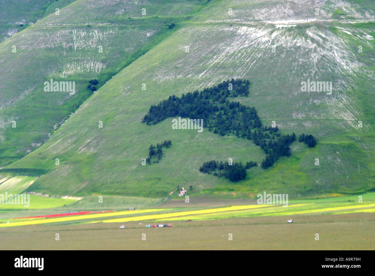 Map or 'boot' of Italy planted in trees ,Piano Grande,Sibillini National Pk.Le  Marche ,Italy Stock Photo