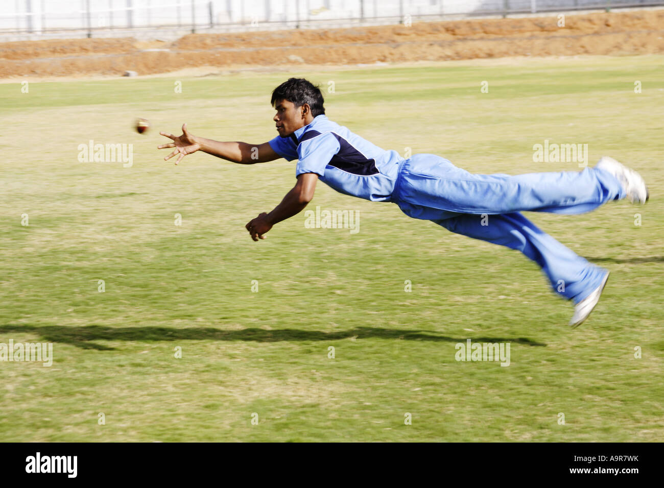 A fielder catching a cricket ball Stock Photo Alamy