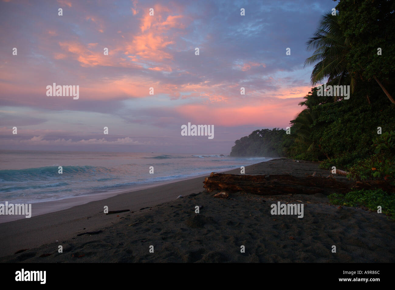 Sunrise at Cabo Matapalo Osa peninsula Costa Rica Stock Photo Alamy