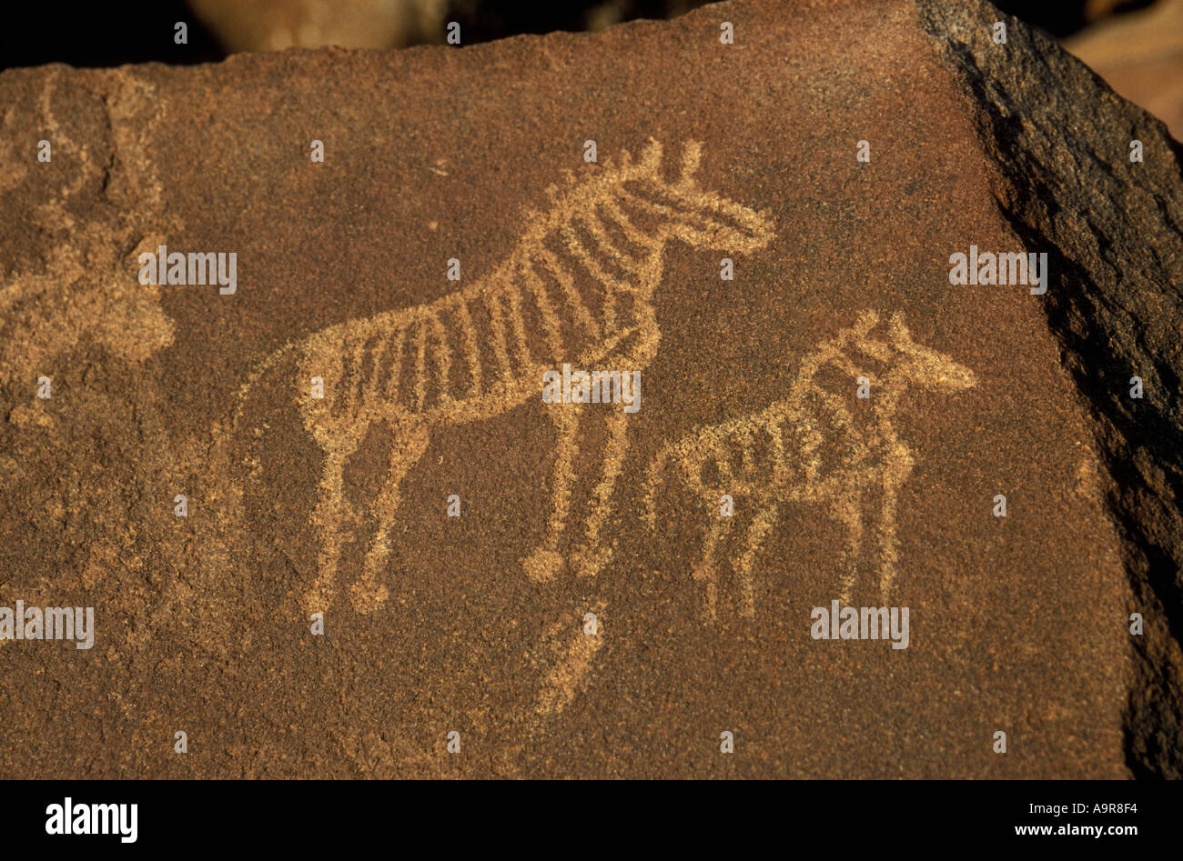 Rock engraving made by San people or Bushmen Twfelfontein National Monument Damaraland northern Namibia Africa Stock Photo