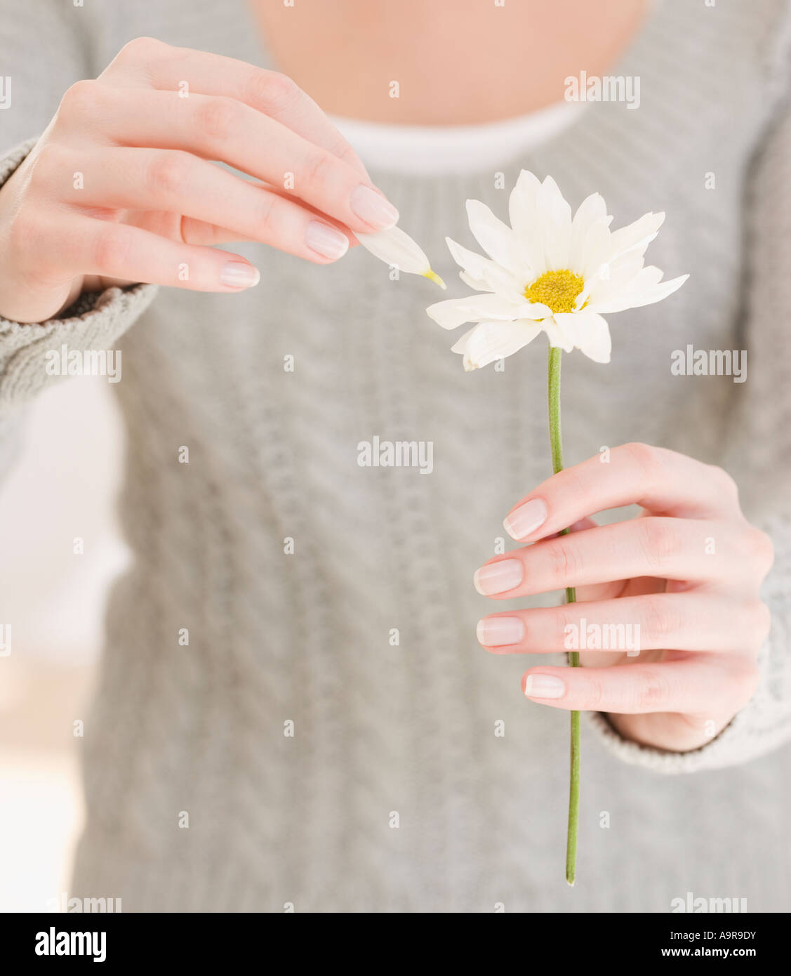 Woman pulling petal off flower Stock Photo - Alamy