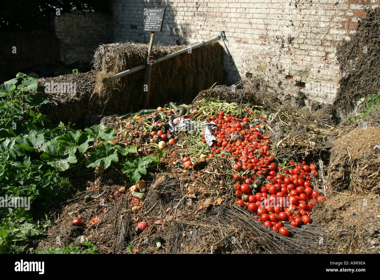 Fresh fruit for rotting vegetables hires stock photography and images