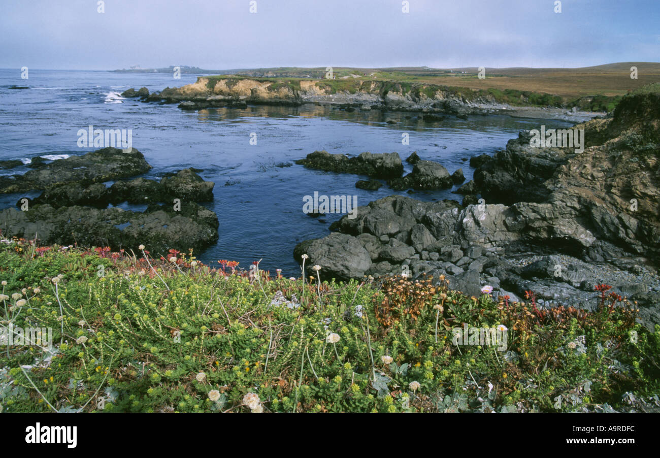 california coast near san simeon Stock Photo