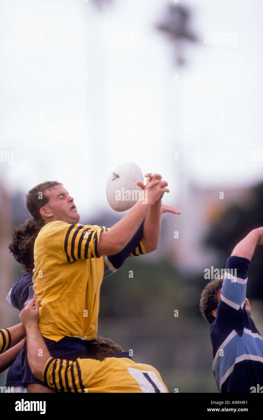 Male rugby players fighting for ball in game Stock Photo Alamy