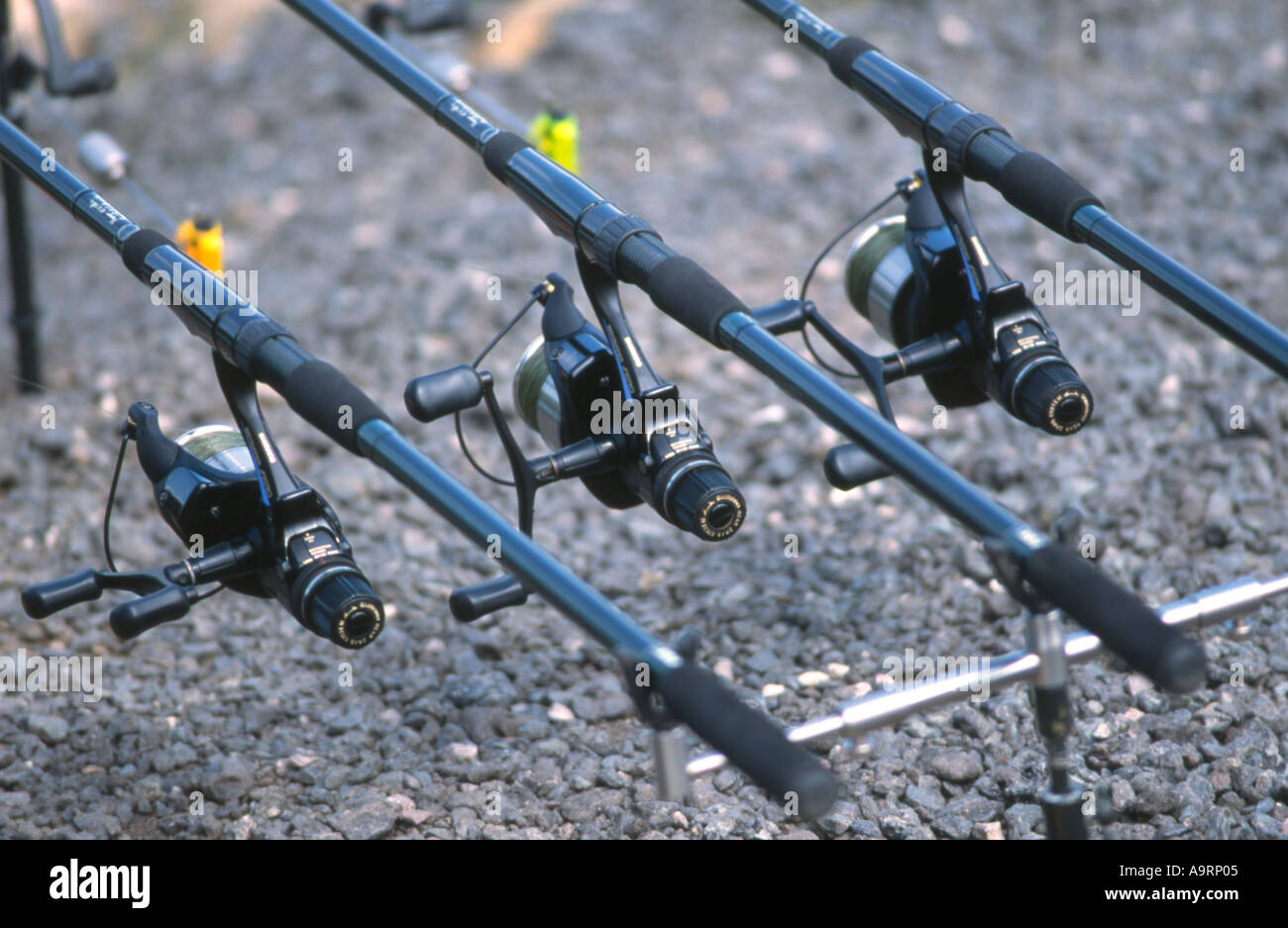A strong diagonal composition of fishing rods and reels at a lakeside Stock  Photo - Alamy