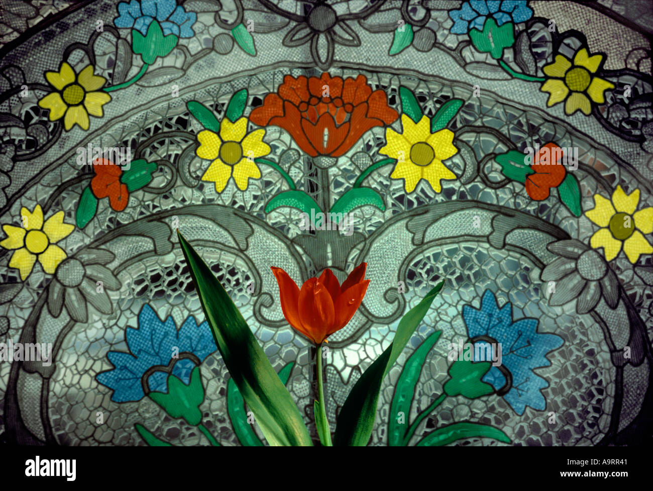 Blooming red spring tulip flowers in front of window display made in ...