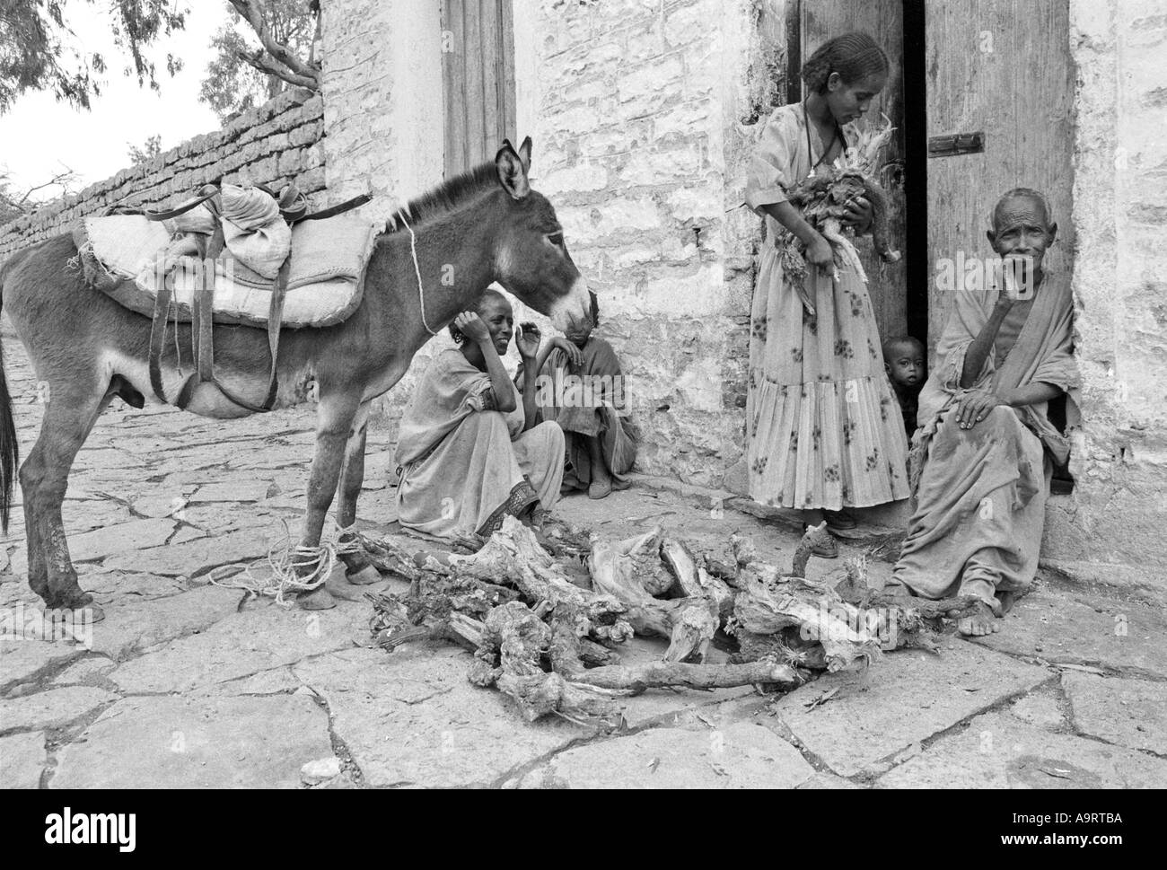 B/W of a woman delivering firewood with her donkey to a household in Mekelle, Tigray, Ethiopia Stock Photo