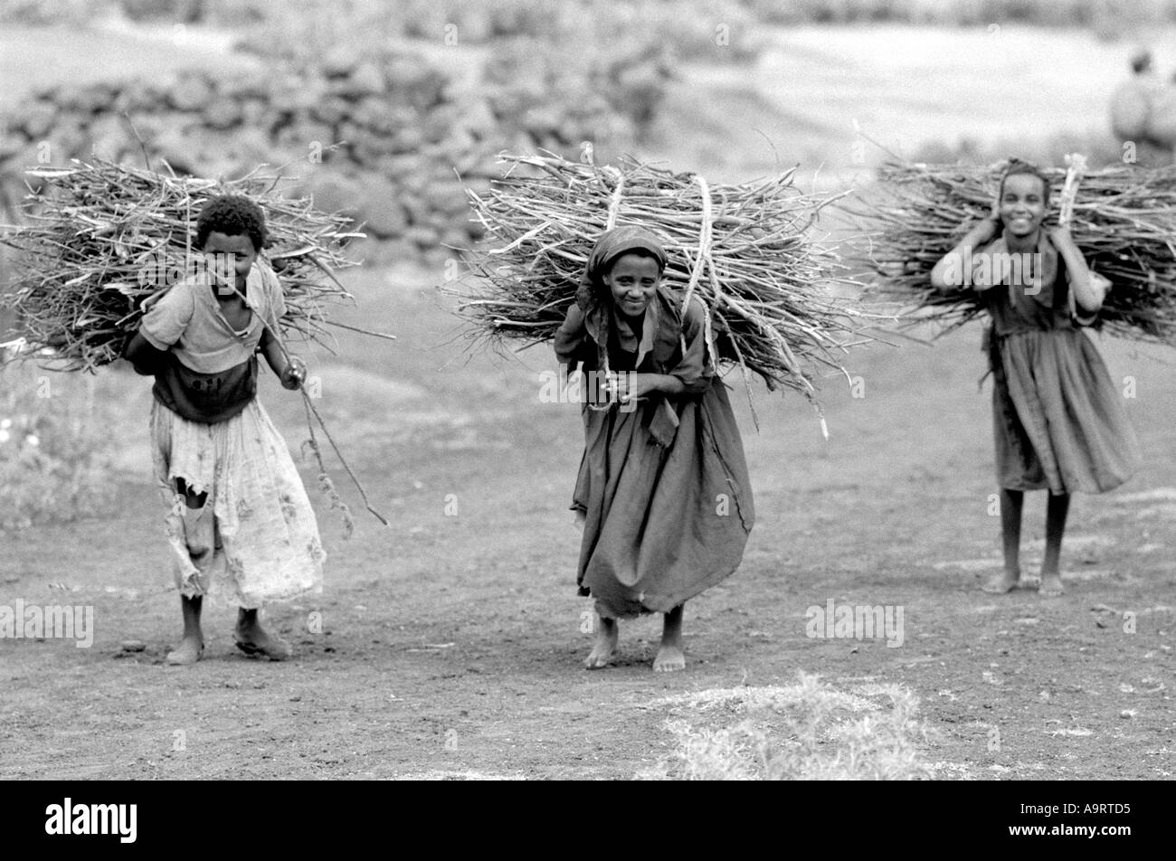 B/W of three happy looking young girls carrying foraged fuel wood on their way home. Tigray, Ethiopia, Africa Stock Photo