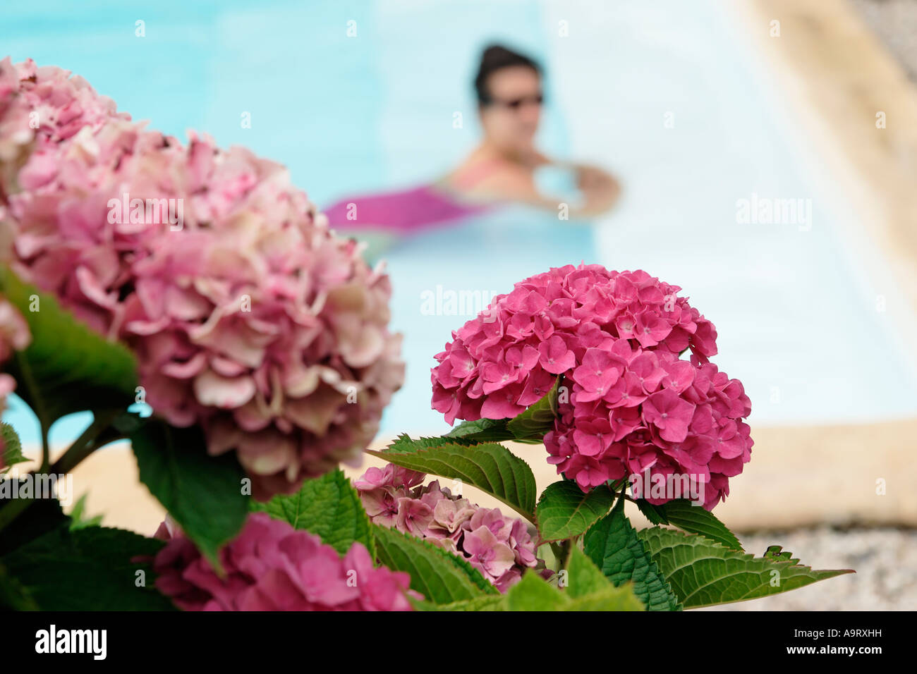 Woman in swimming pool Stock Photo