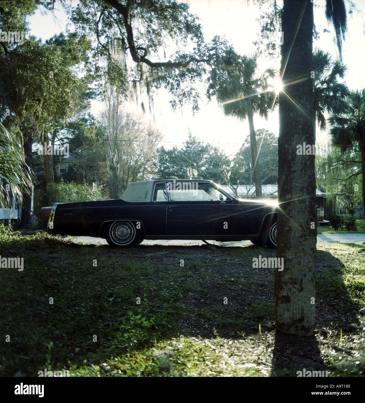 Car on Typee Island near Savannah during the afternoon Stock