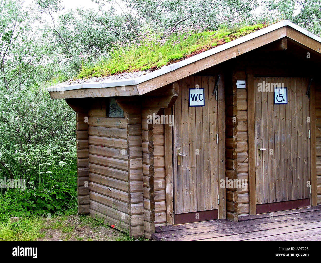 Wooden public toilet with planted roof on German baltic coast baltic