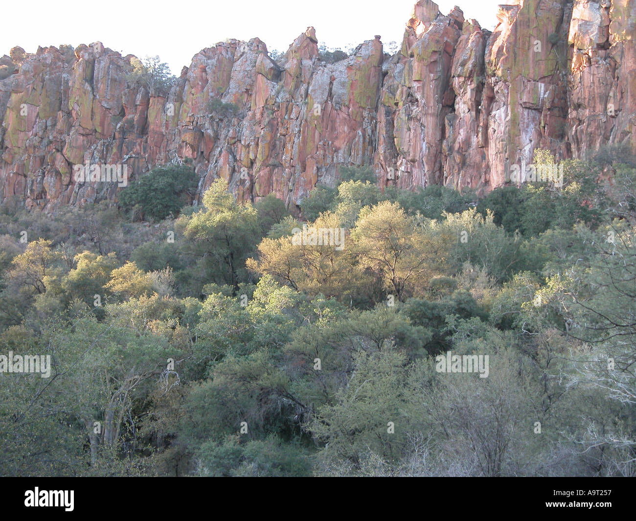 Namibia Cliffs Cliffs at Waterberg Plateau Park Namibia Stock Photo - Alamy